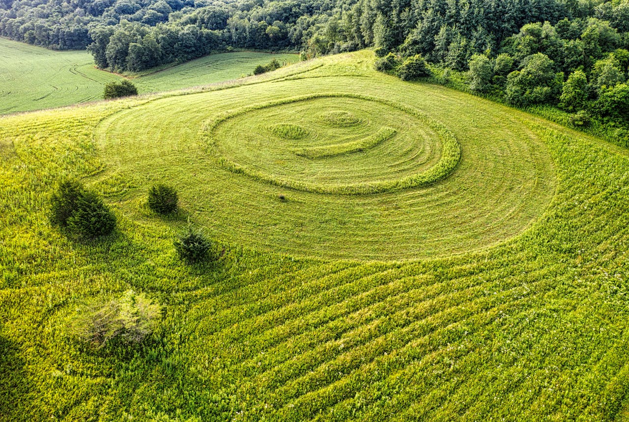 A mindfulness hatása 1